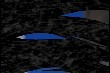 OUTPUT_000135.jpg